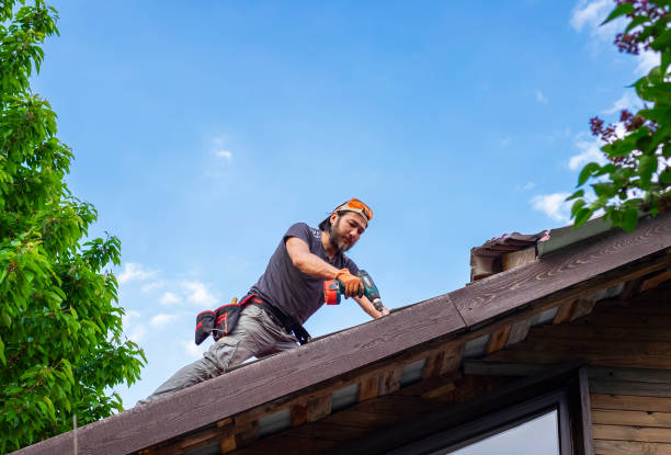 Best Metal Roofing Installation  in Childersburg, AL